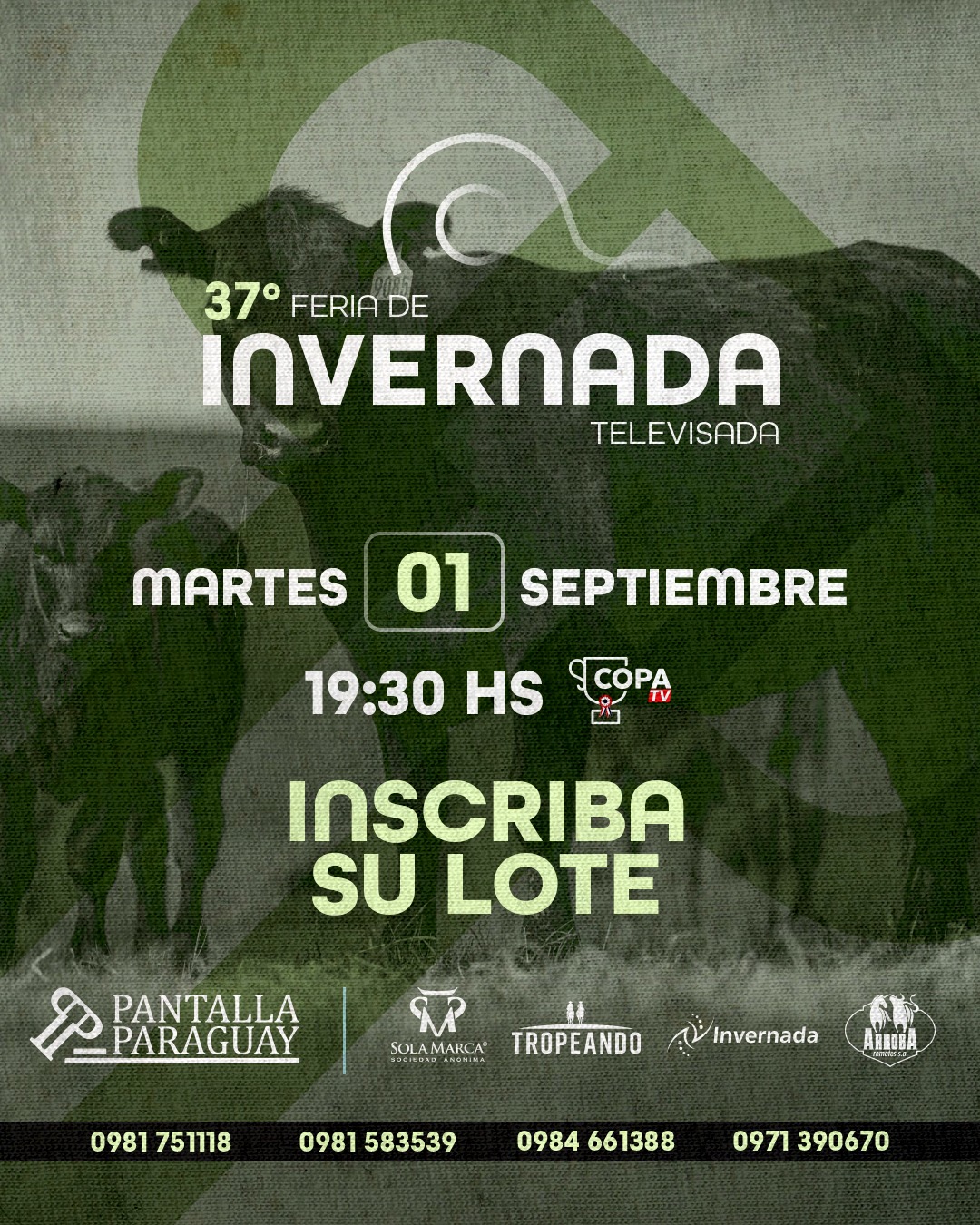 Imagen 2