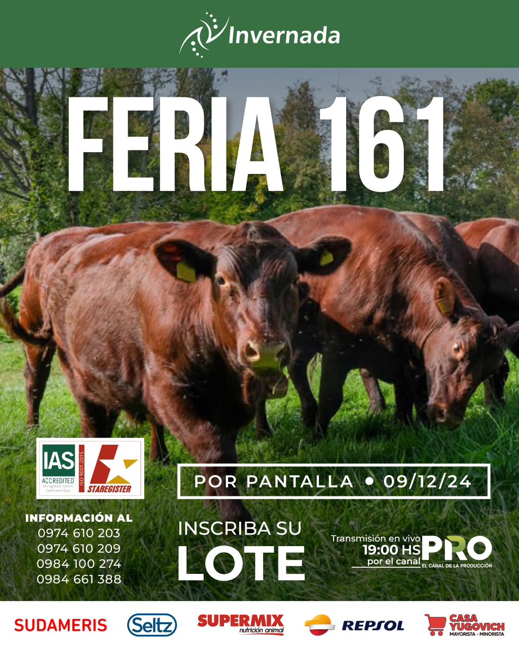 161-feria-por-pantalla