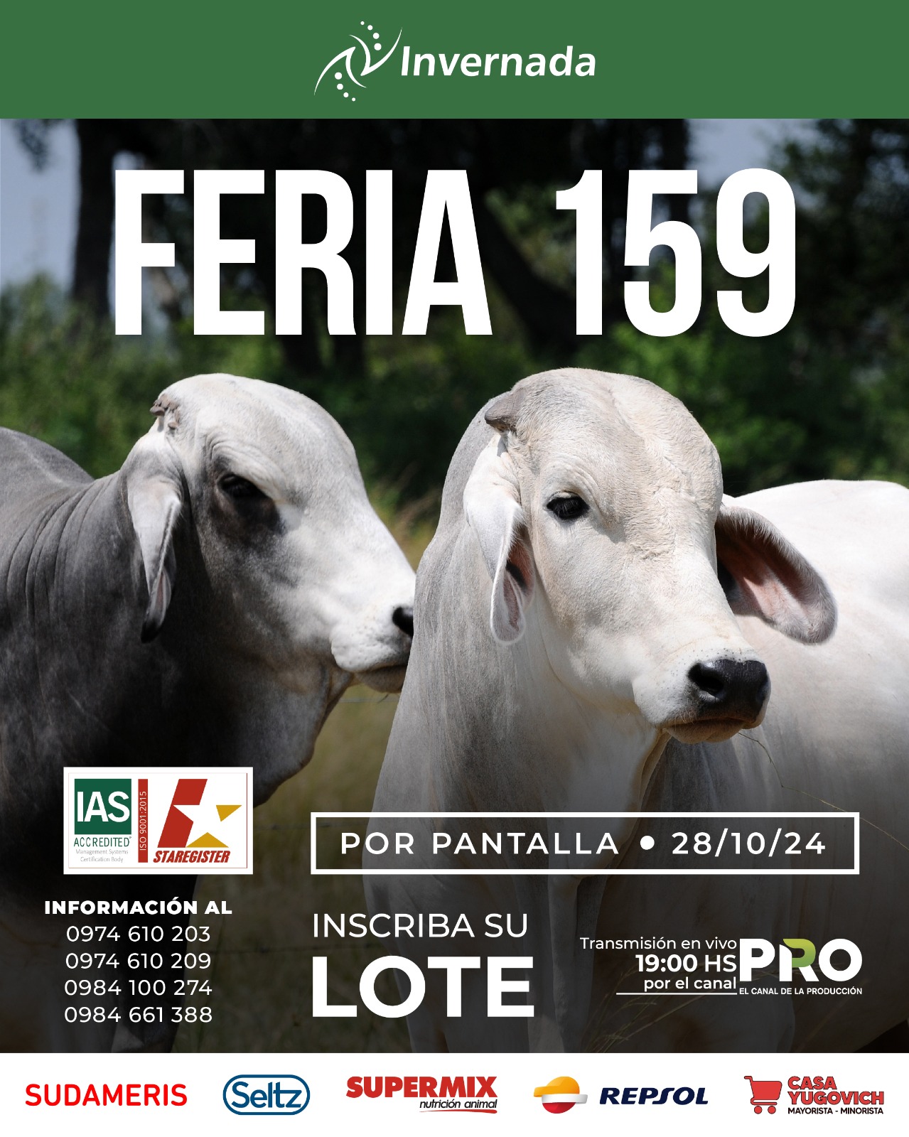 159°feriaporpantalla