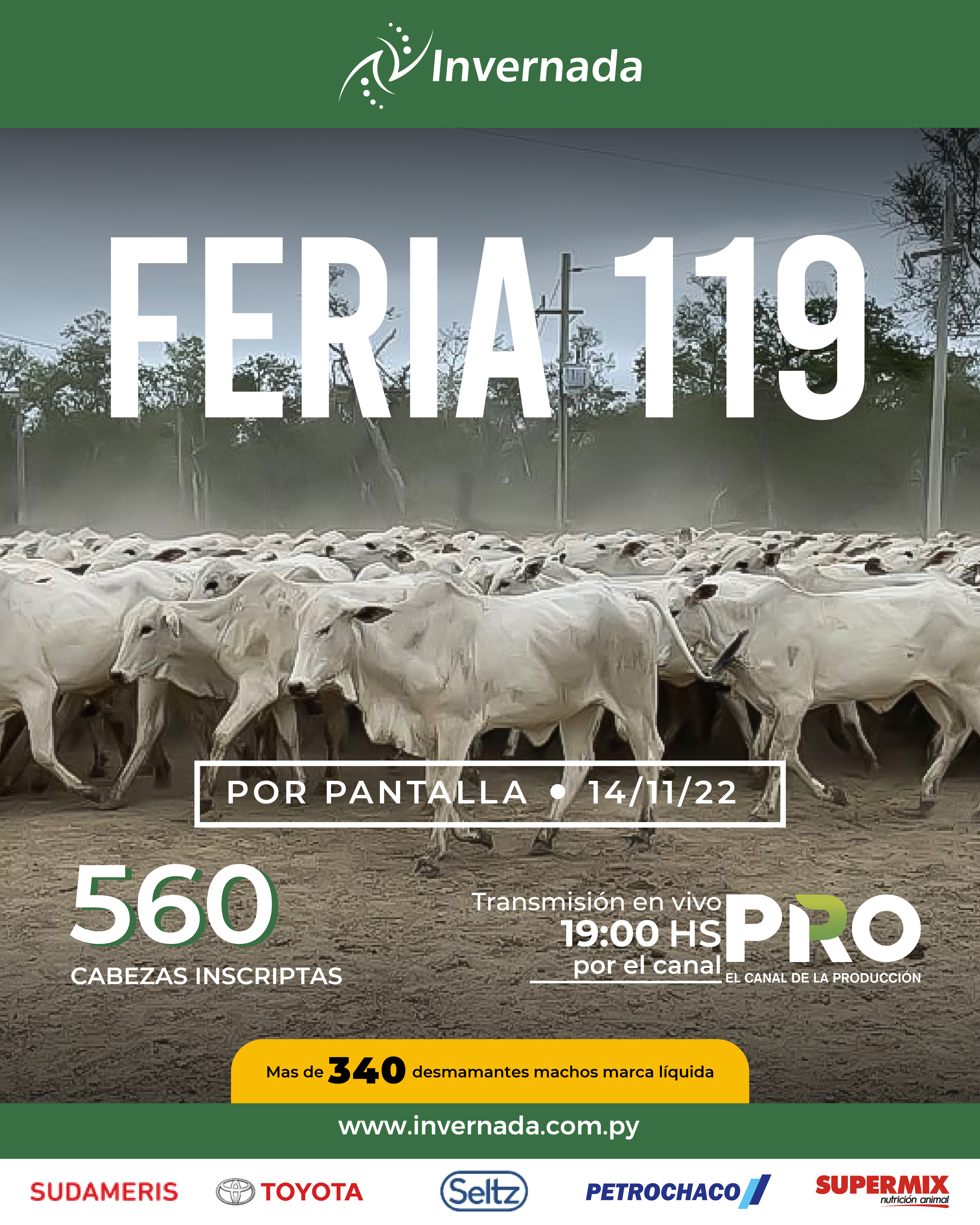 119°feriaporpantalla
