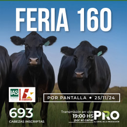 160-feria-por-pantalla
