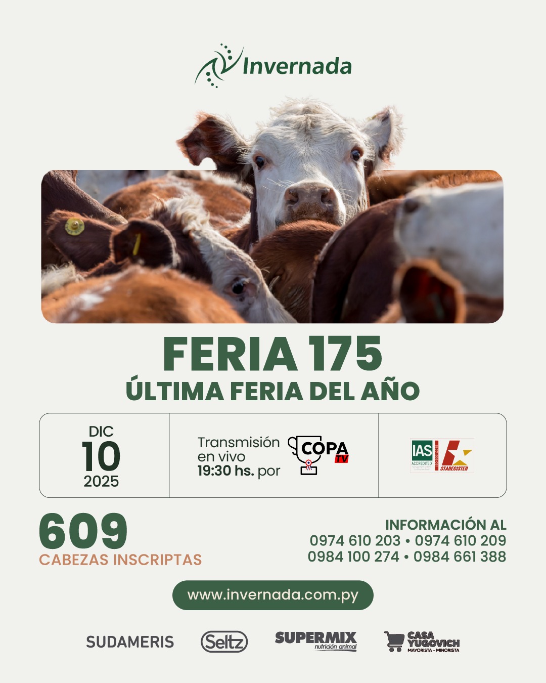 175-feria-por-pantalla