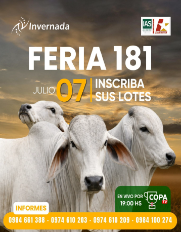 181-feria-por-pantalla