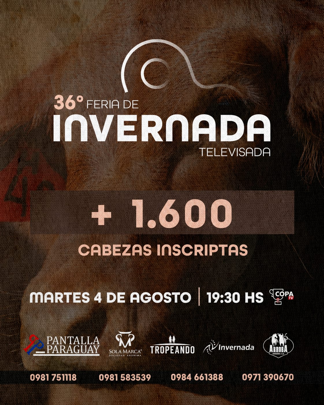 36-feria-pantalla-paraguay