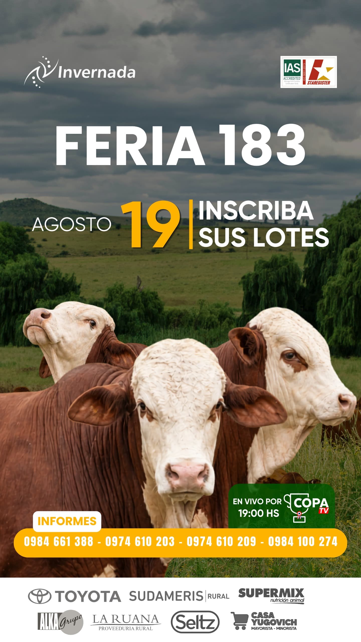183-feria-por-pantalla