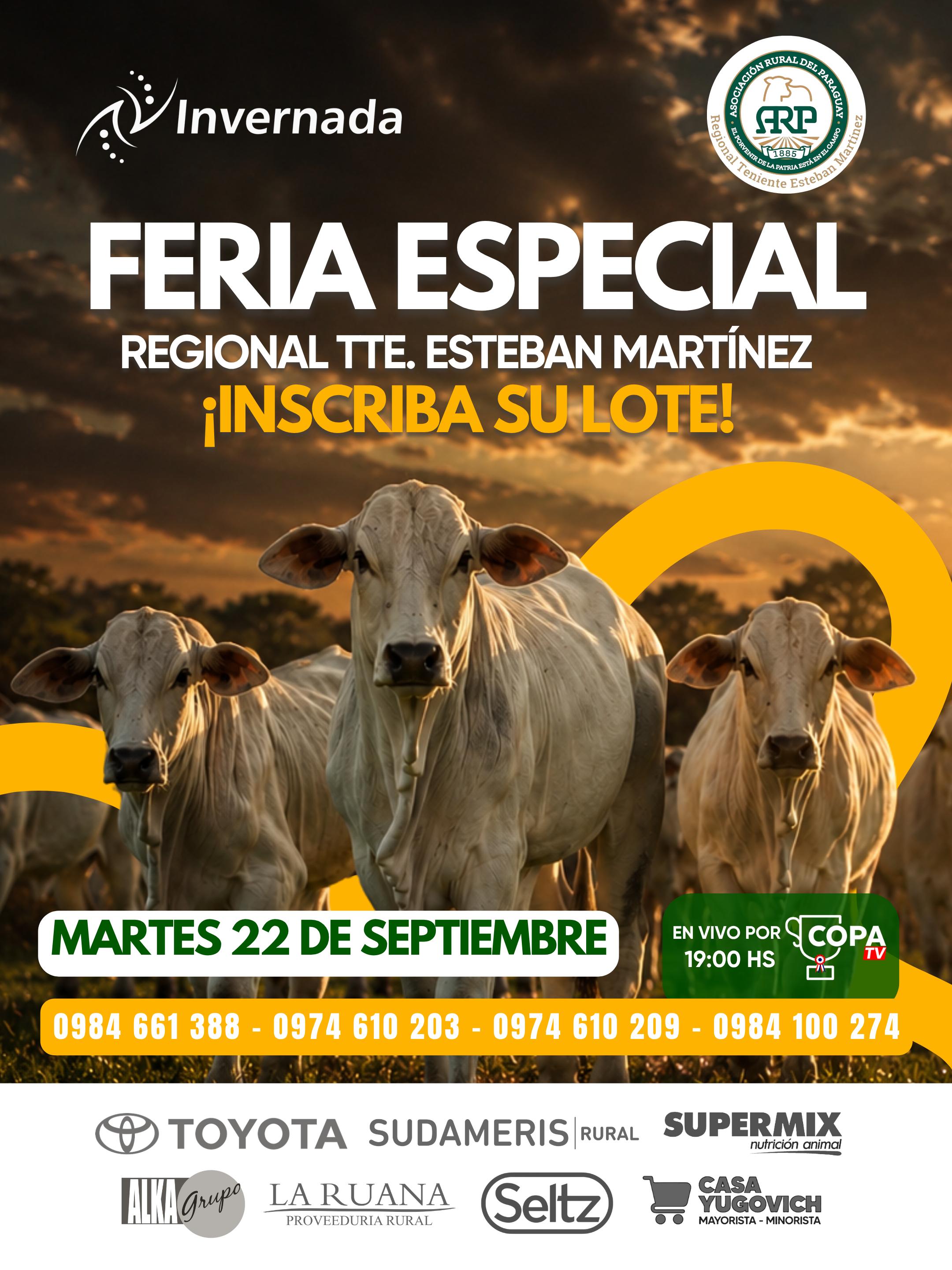 feria-n-184-regional-tte-esteban-martinez